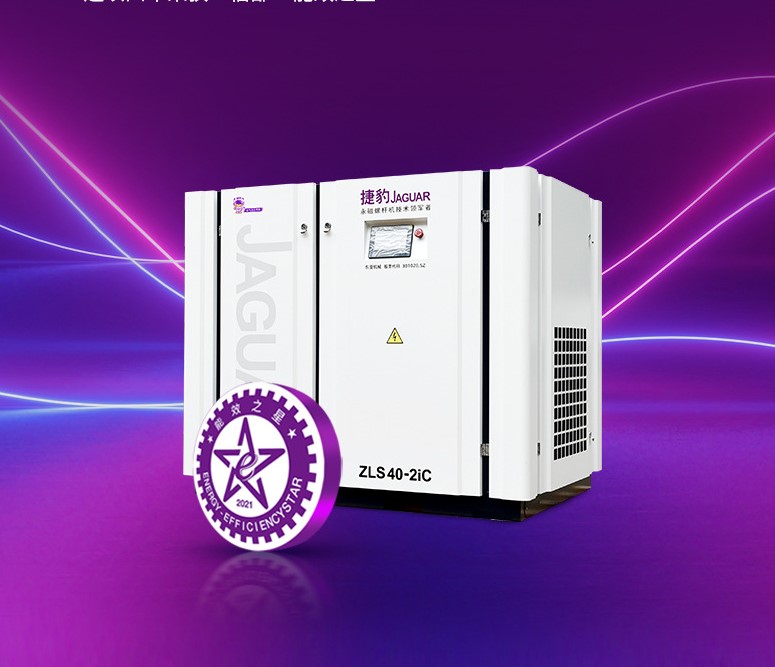 Máy nén khí trục vít 2 đầu bơm ZLS40-2iC