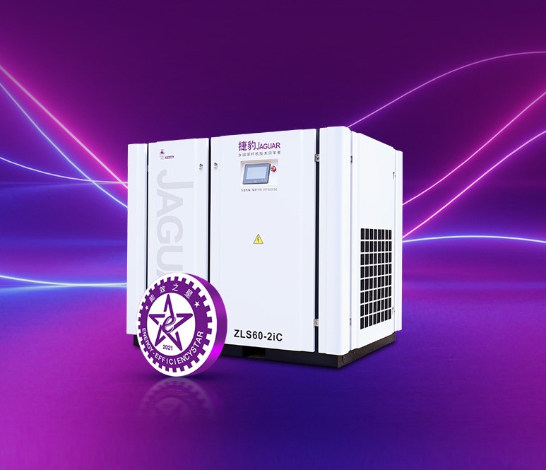 Máy nén khí trục vít 2 đầu bơm ZLS60-2iC