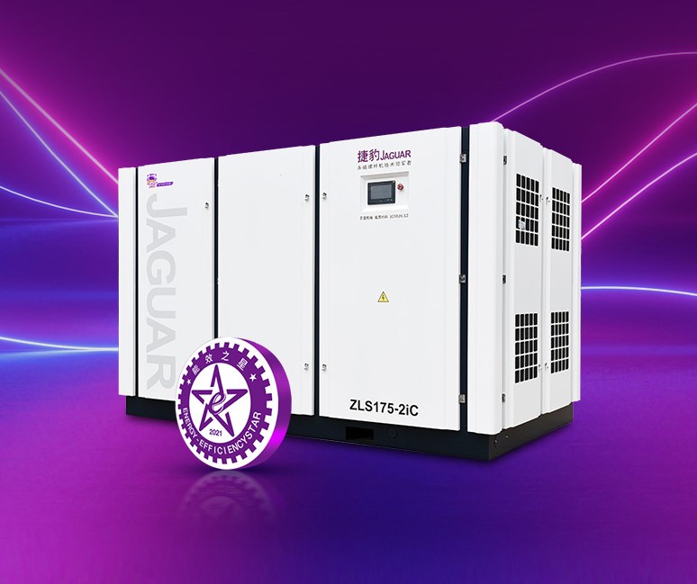 Máy nén khí trục vít 2 đầu bơm 175-2iC